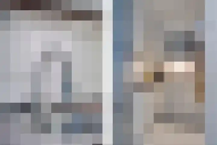 Pruimengaarde 35 Zoetermeer thumbnail 11