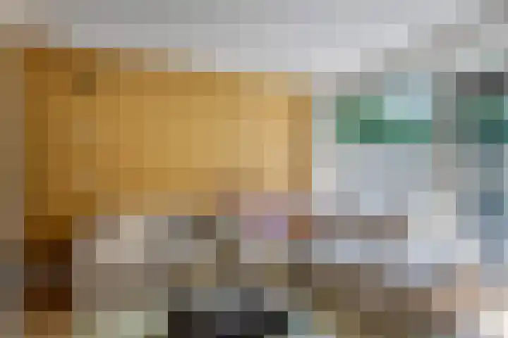 Pruimengaarde 35 Zoetermeer thumbnail 15