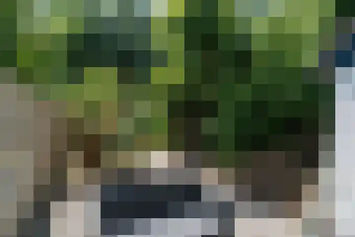Pruimengaarde 35 Zoetermeer thumbnail 16