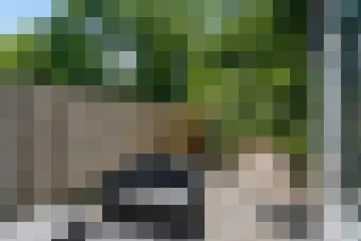 Pruimengaarde 35 Zoetermeer thumbnail 17