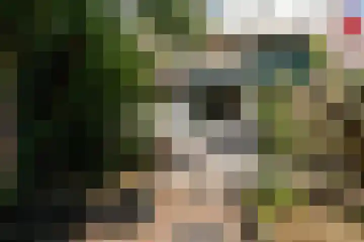 Pruimengaarde 35 Zoetermeer thumbnail 18