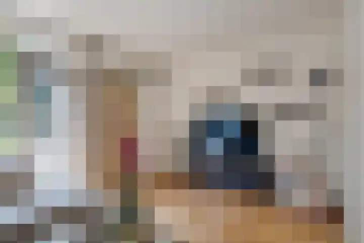 Pruimengaarde 35 Zoetermeer thumbnail 20