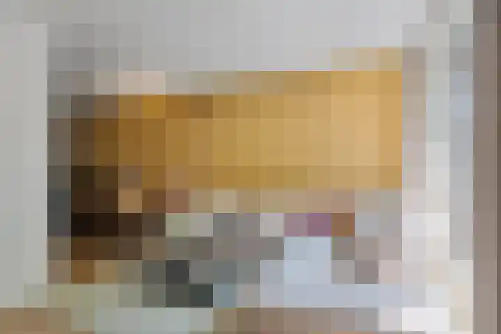 Pruimengaarde 35 Zoetermeer thumbnail 22
