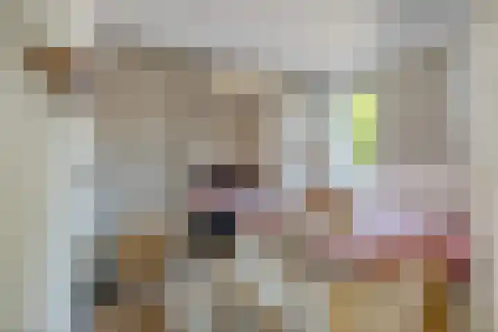 Pruimengaarde 35 Zoetermeer thumbnail 24