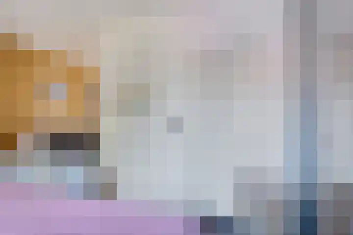 Pruimengaarde 35 Zoetermeer thumbnail 25