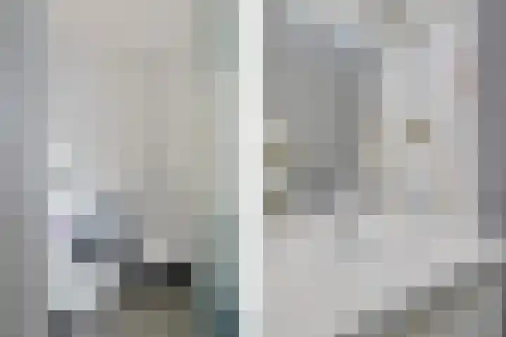 Pruimengaarde 35 Zoetermeer thumbnail 27