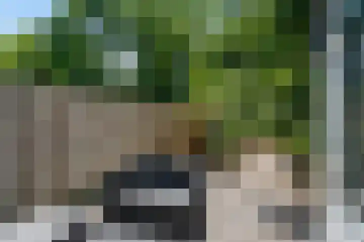 Pruimengaarde 35 Zoetermeer thumbnail 4