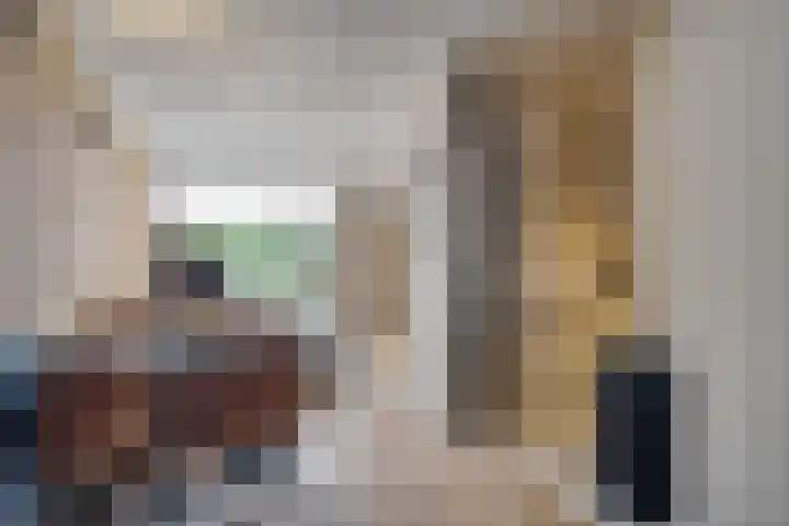 Pruimengaarde 35 Zoetermeer thumbnail 9