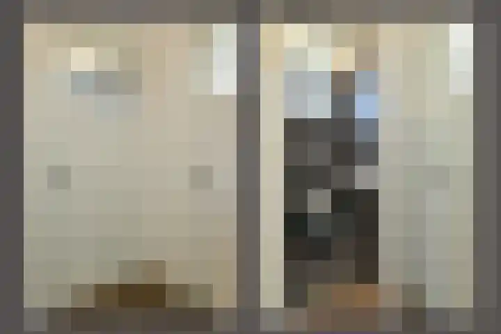 Prümelaan 34 Arnhem thumbnail 11