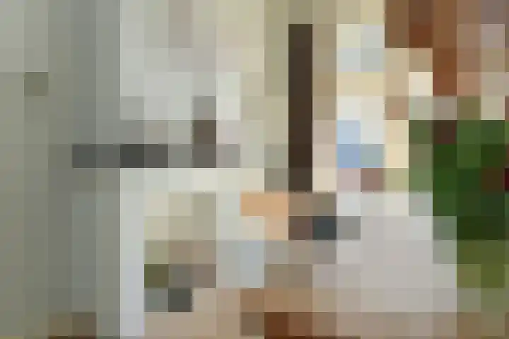 Prümelaan 34 Arnhem thumbnail 18