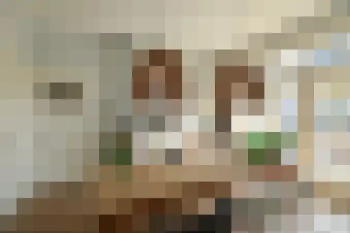 Prümelaan 34 Arnhem thumbnail 20