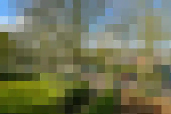 Prümelaan 34 Arnhem thumbnail 43