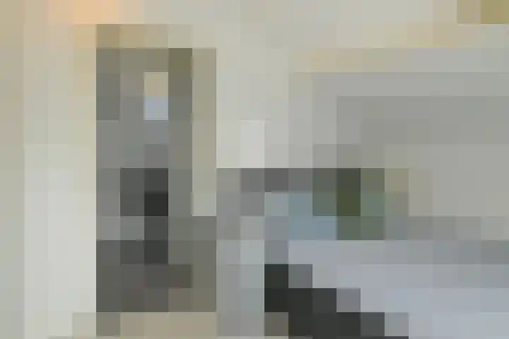 Prümelaan 34 Arnhem thumbnail 55