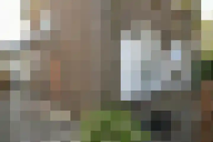 Prümelaan 34 Arnhem thumbnail 6