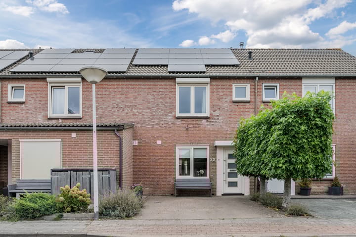 Prunus 20 in Best foto