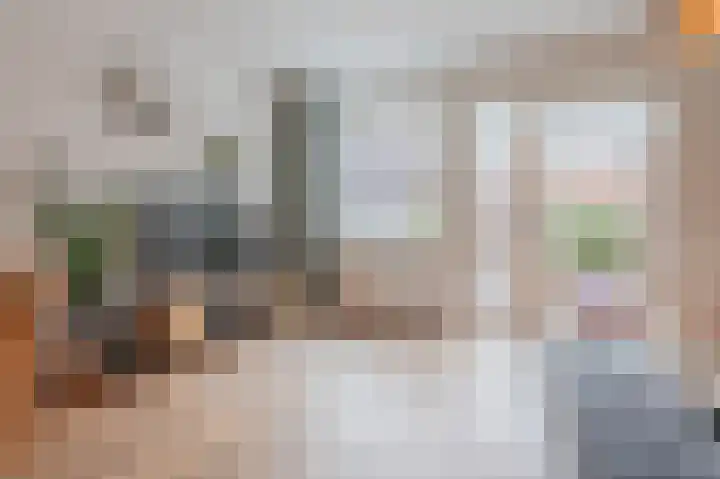 Prunus 20 Best thumbnail 14