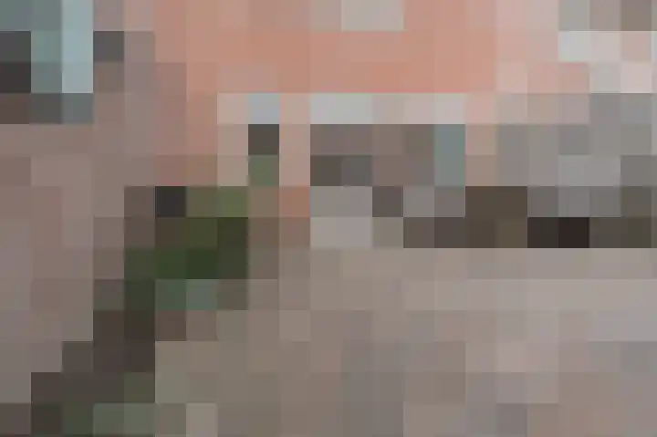 Prunus 20 Best thumbnail 37