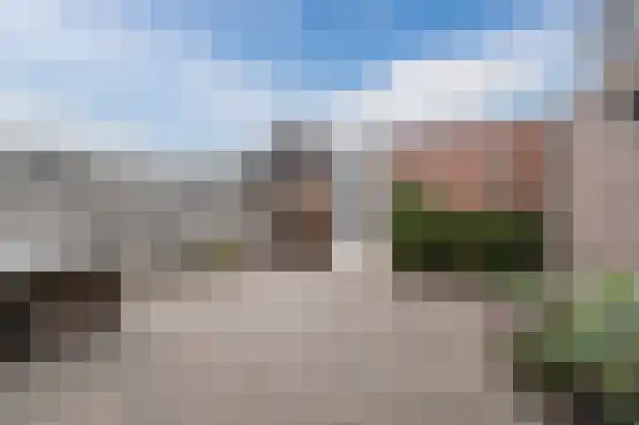 Prunus 20 Best thumbnail 38