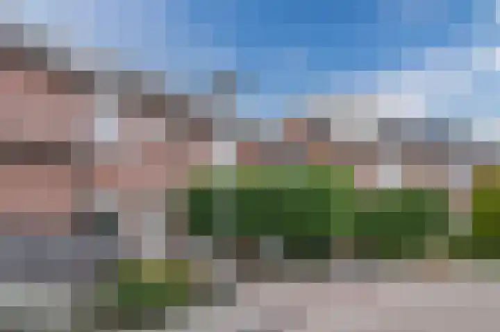 Prunus 20 Best thumbnail 40