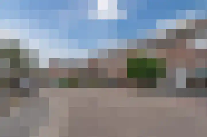 Prunus 20 Best thumbnail 41