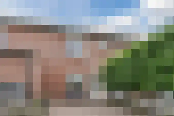 Prunus 20 Best thumbnail 7