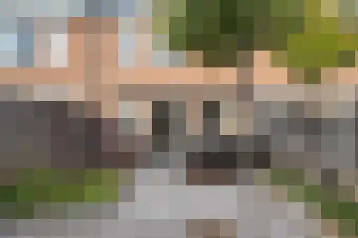 Prunus 38 Best thumbnail 24