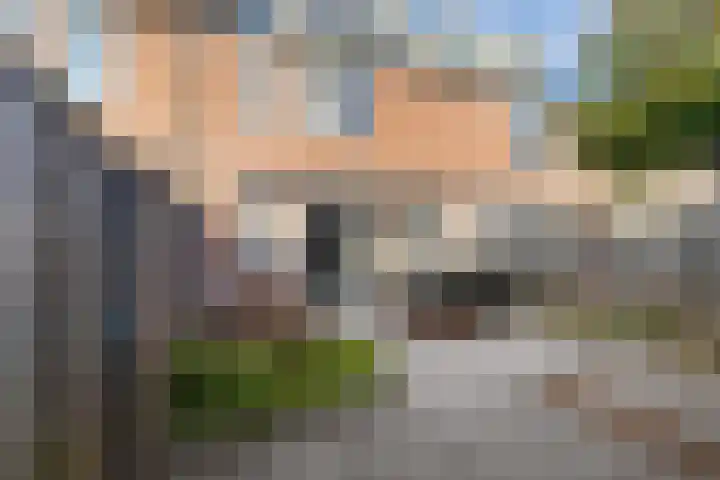 Prunus 38 Best thumbnail 25
