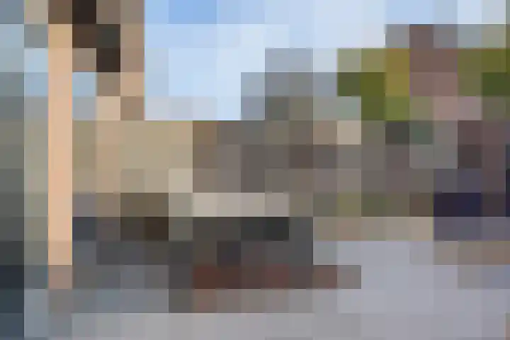 Prunus 38 Best thumbnail 26