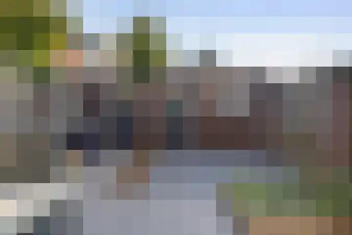 Prunus 38 Best thumbnail 27