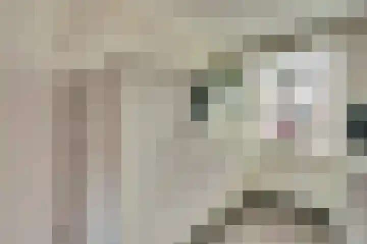 Prunus 8 Best thumbnail 12