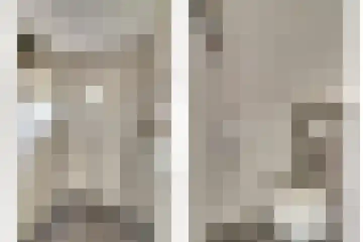 Prunus 8 Best thumbnail 15