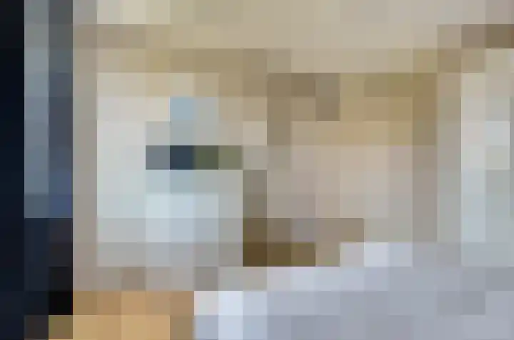 Prunus 8 Best thumbnail 19