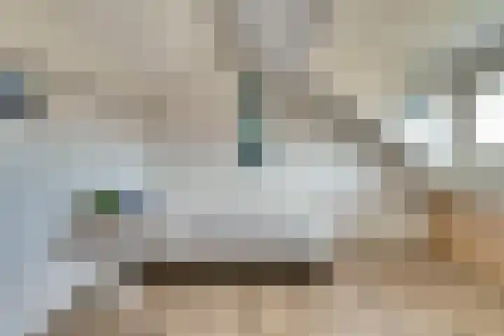 Prunus 8 Best thumbnail 26