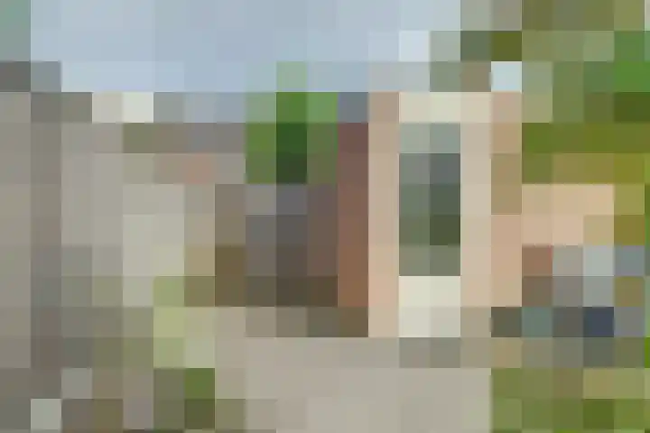 Prunus 8 Best thumbnail 34