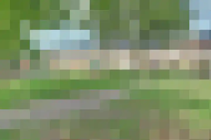 Prunus 8 Best thumbnail 38