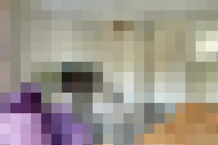 Prunus 8 Best thumbnail 4