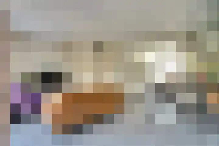 Prunus 8 Best thumbnail 6