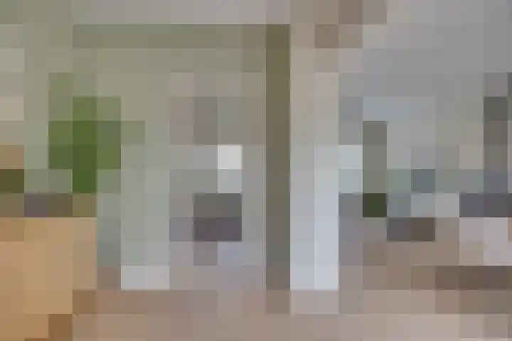 Prunuslaan 16 Leusden thumbnail 4