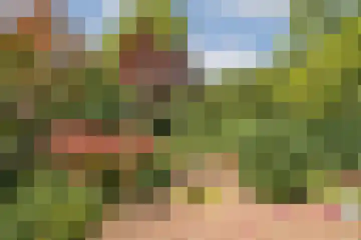 Prunuslaan 2 Gouda thumbnail 21