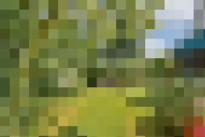 Prunuslaan 2 Gouda thumbnail 22