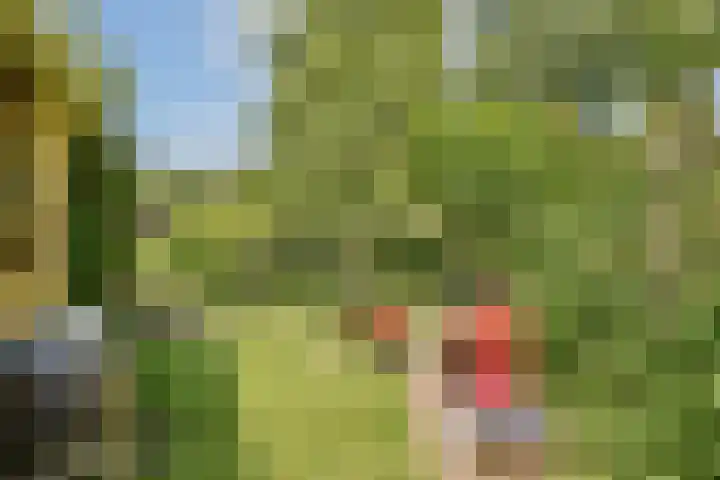 Prunuslaan 2 Gouda thumbnail 23