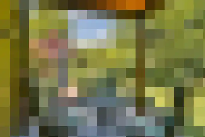 Prunuslaan 2 Gouda thumbnail 24