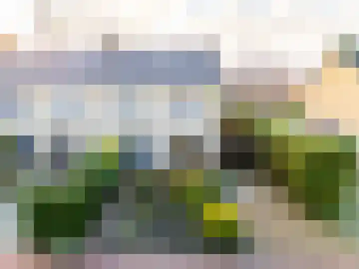 Prunuslaan 26 Warnsveld thumbnail 32