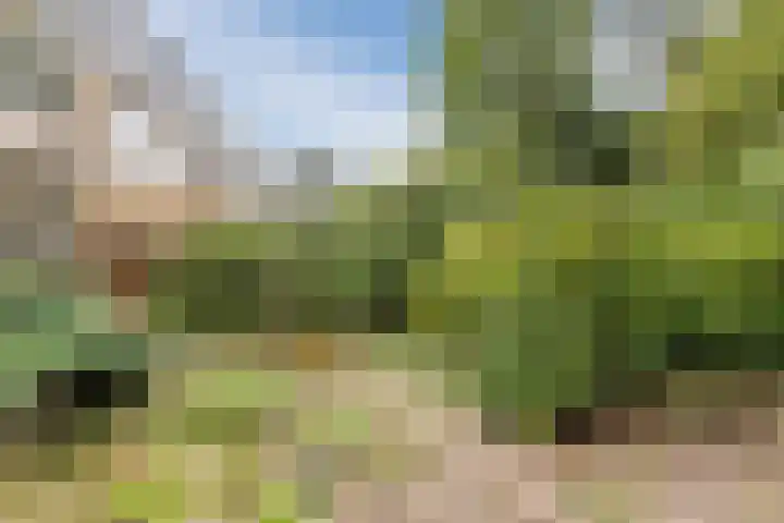 Prunuslaan 29 Oudorp thumbnail 45