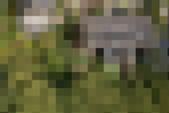 Prunuslaan 29 Oudorp thumbnail 52