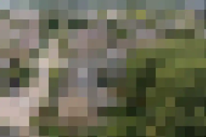 Prunuslaan 29 Oudorp thumbnail 53