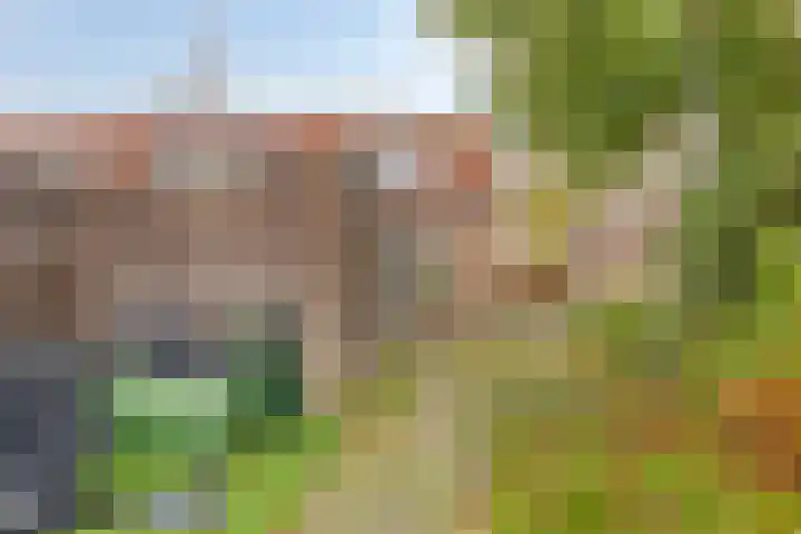 Prunuslaan 42 Rotterdam thumbnail 22