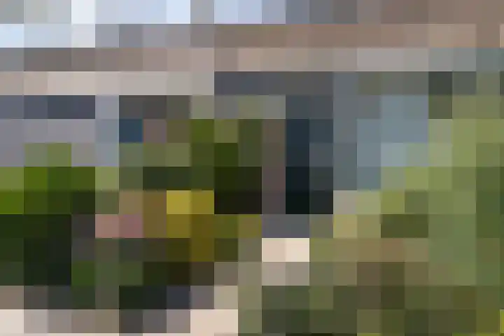 Prunuslaan 7 Woerden thumbnail 4