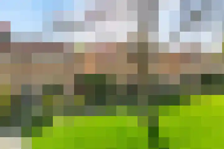 Prunuslaan 8 Leusden thumbnail 24