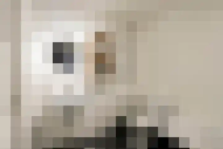 Prunusstraat 15 Borculo thumbnail 20